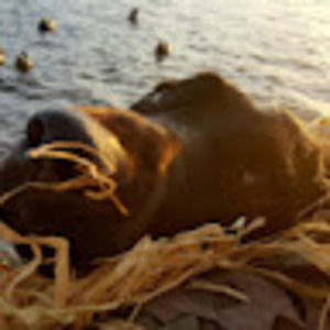 Meet your Posher, Marybeth